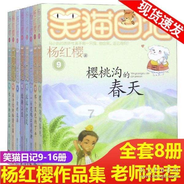 探索中国传统节日都有什么?——知识星球平台